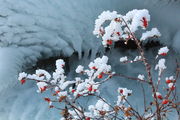 12/11/2011 - Ice Cyclone. Photo by Fred Pflughoft.