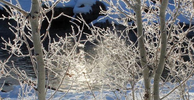2/16/2012 - Pine Creek Backlit. Photo by Fred Pflughoft.