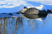 1/19/2008 - Shoreline Reflection. Photo by Fred Pflughoft.