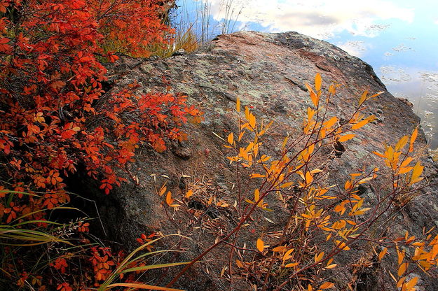 10/20/2008 - Beaver Pond Colors. Photo by Fred Pflughoft.