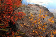 10/20/2008 - Beaver Pond Colors. Photo by Fred Pflughoft.