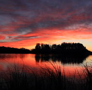 9/11/2012 - Fish Pond Sunset. Photo by Fred Pflughoft.