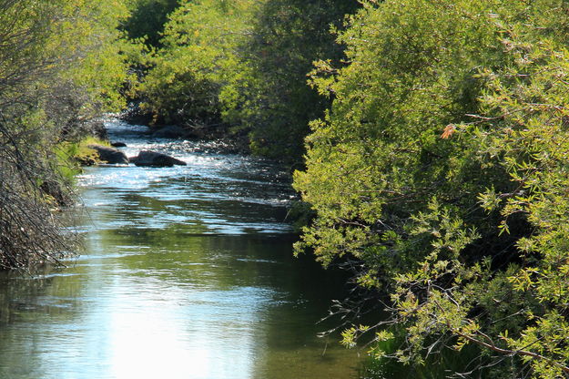 8/26/2012 - Tranquil Waters. Photo by Fred Pflughoft.