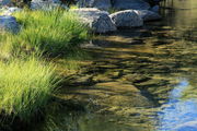 8/29/2012 - Cool, Clear, Water. Photo by Fred Pflughoft.