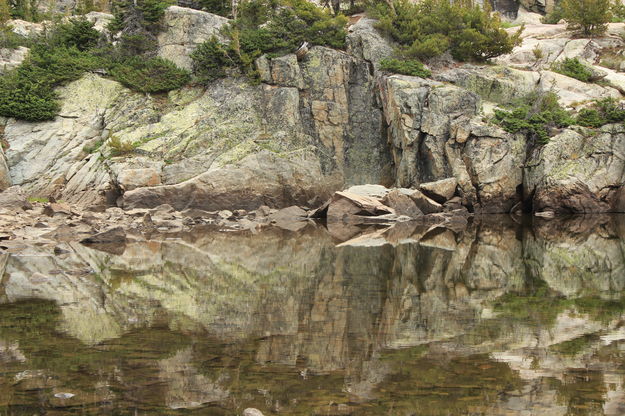 Rock Reflection at Little Seneca. Photo by Fred Pflughoft.