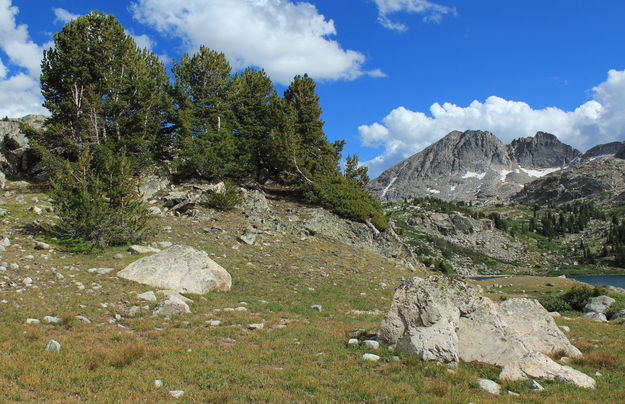 Windswept Trees Framing Lester Peak. Photo by Fred Pflughoft.