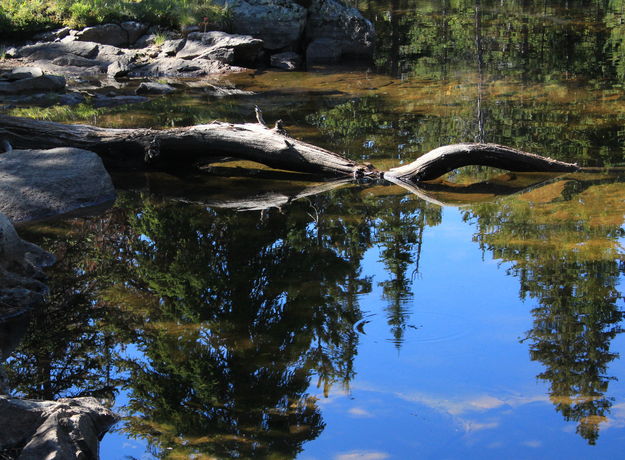 Tarn Serpent. Photo by Fred Pflughoft.