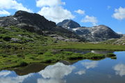 Verdant Refection. Photo by Fred Pflughoft.