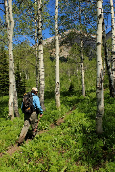 A Peaceful Stroll. Photo by Fred Pflughoft.