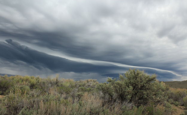 Supercell. Photo by Fred Pflughoft.