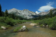 Up The Creek. Photo by Fred Pflughoft.