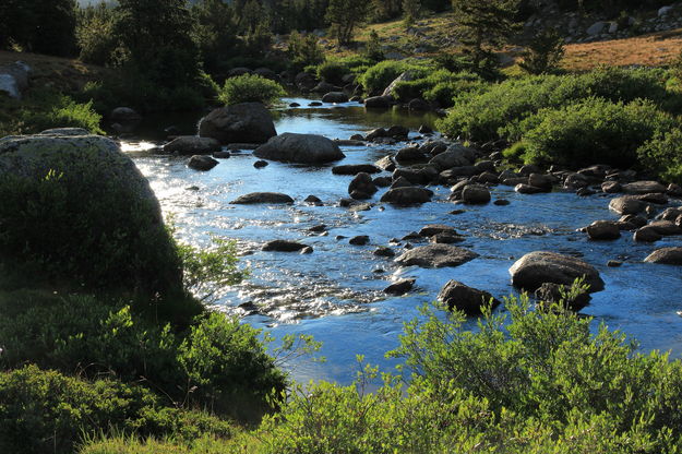 Washakie Creek Backlit. Photo by Fred Pflughoft.