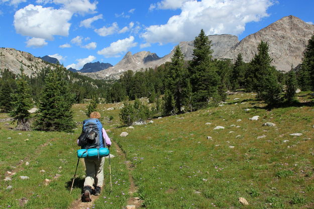 Meadow Stroll. Photo by Fred Pflughoft.