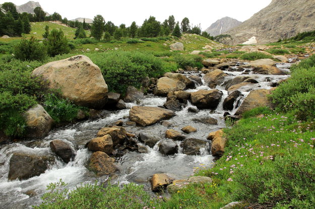 Baptiste Creek. Photo by Fred Pflughoft.