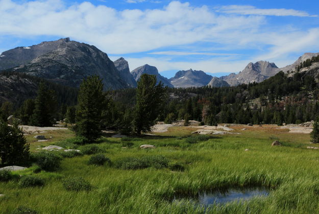 East Fork Valley View. Photo by Fred Pflughoft.