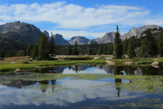 Reflection near Washakie Crossing. Photo by Fred Pflughoft.