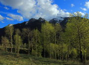 Big Sheep Mountain. Photo by Fred Pflughoft.