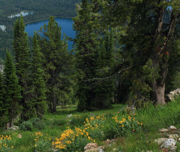 Bradley Lake from Above. Photo by Fred Pflughoft.