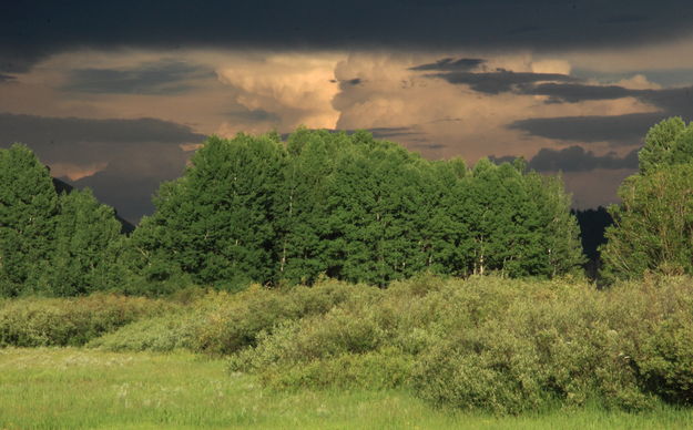 Storm Over the Oxbow. Photo by Fred Pflughoft.