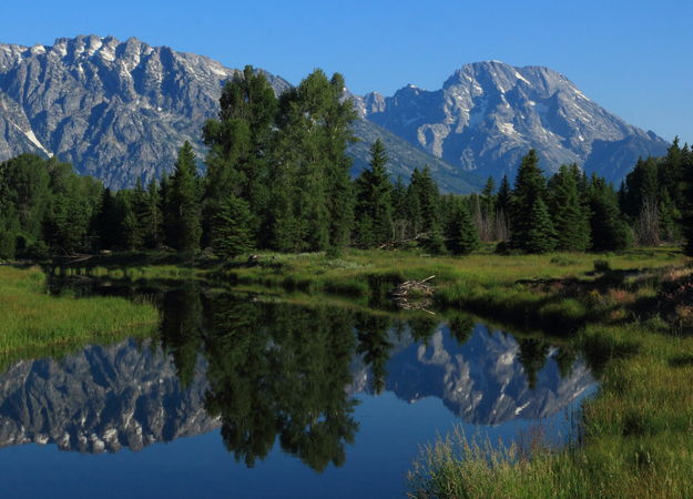 Mount Moran Reflected. Photo by Fred Pflughoft.