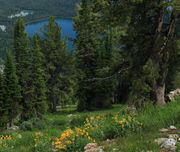 Bradley Lake from Above. Photo by Fred Pflughoft.