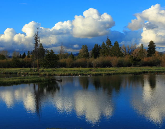 Mirrored. Photo by Fred Pflughoft.