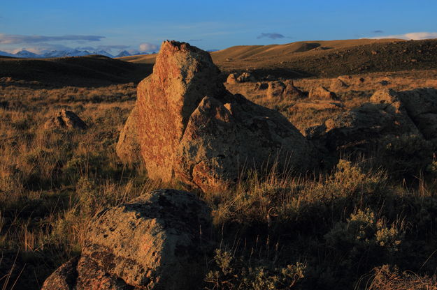 Soda Lake Rock Garden. Photo by Fred Pflughoft.