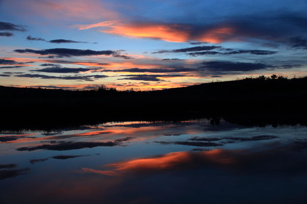 Roadside Muddy Puddle Reflection. Photo by Fred Pflughoft.