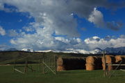 Dell Creek Hay Stacks. Photo by Fred Pflughoft.