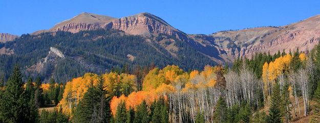 Clause Peak from Cliff Creek Road. Photo by Fred Pflughoft.