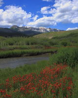 Paintbrush & Triple Peak from North Cottonwood Creek Rd. at Forest Boundary. Photo by Fred Pflughoft.