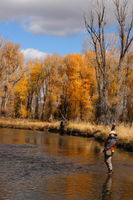 Fly Fishing New Fork River Airport Access. Photo by Fred Pflughoft.