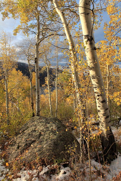 Colors Above New Fork Lakes. Photo by Fred Pflughoft.