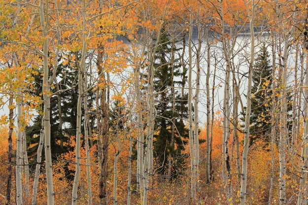 Aspen Jail. Photo by Fred Pflughoft.