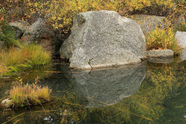 Rocky Reflection. Photo by Fred Pflughoft.