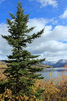 A Stellar View. Photo by Fred Pflughoft.