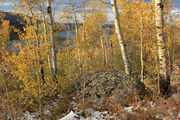 Aspen Panorama. Photo by Fred Pflughoft.