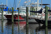 Biloxi Small Craft Harbor - Mississippi. Photo by Fred Pflughoft.