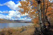 Shoreline Color. Photo by Fred Pflughoft.