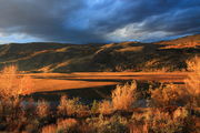 Storm-driven Light. Photo by Fred Pflughoft.