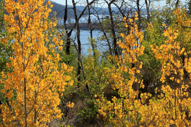 Upper Lake, New Fork Lakes Trail. Photo by Fred Pflughoft.