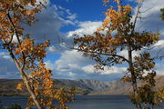 New Fork Lakes Campground View. Photo by Fred Pflughoft.