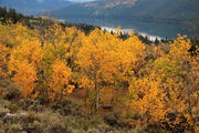 Half Moon Lake Overlook. Photo by Fred Pflughoft.