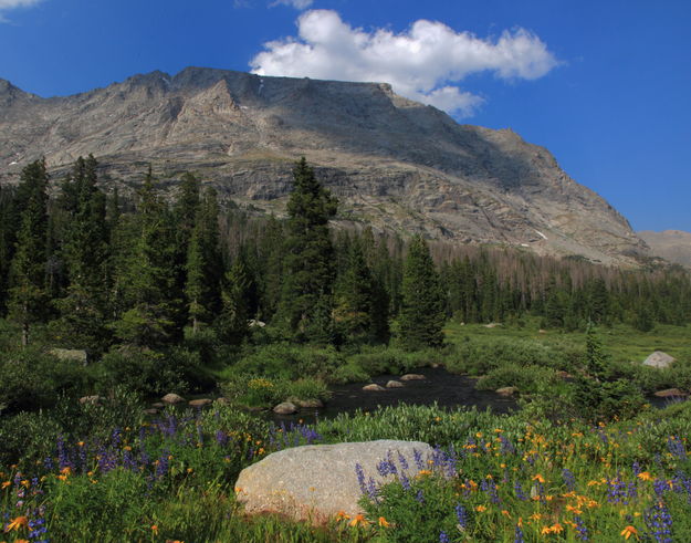 Lizard Head Peak & the North Fork of the Popo Agie River. Photo by Fred Pflughoft.