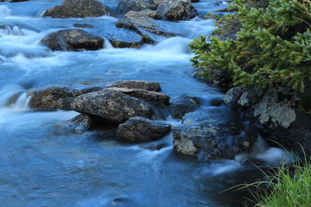 Silky Stream. Photo by Fred Pflughoft.