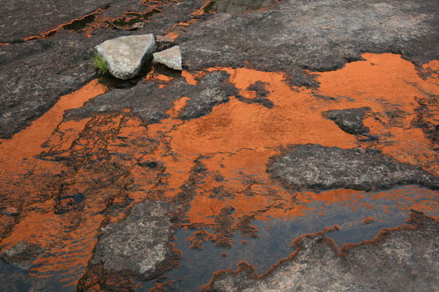 Molten Rock . Photo by Fred Pflughoft.