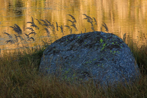 Sunset grasses at Mirror Lake. Photo by Fred Pflughoft.