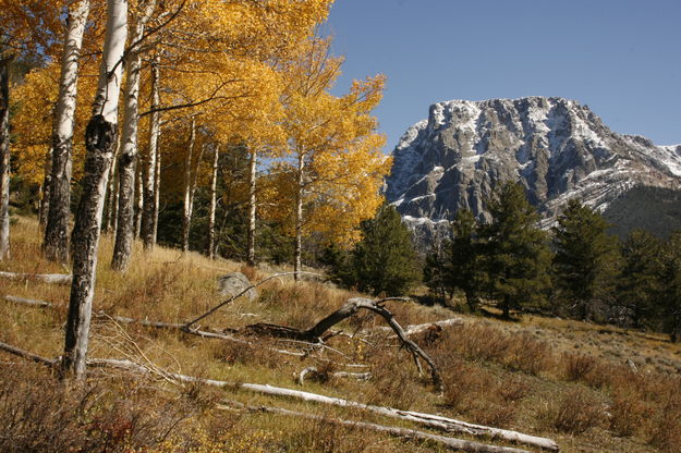 Flat Top Fall. Photo by Fred Pflughoft.