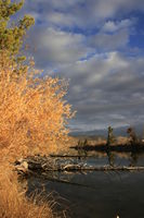 Autumn at the Inlet. Photo by Fred Pflughoft.