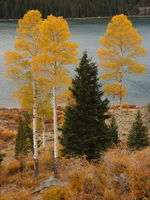 Autumn Shores. Photo by Fred Pflughoft.